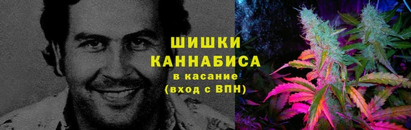 мяу мяу мука Беломорск