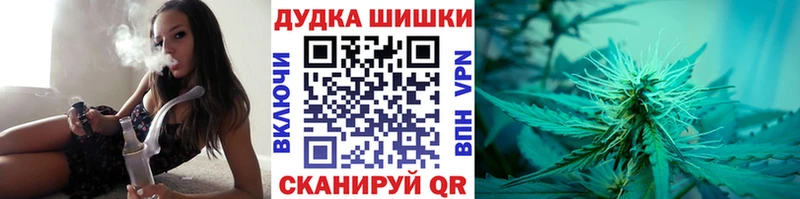 Шишки марихуана конопля  Ельня 